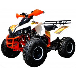 QUAD WARRIOR RACING S PRO 125CC R8